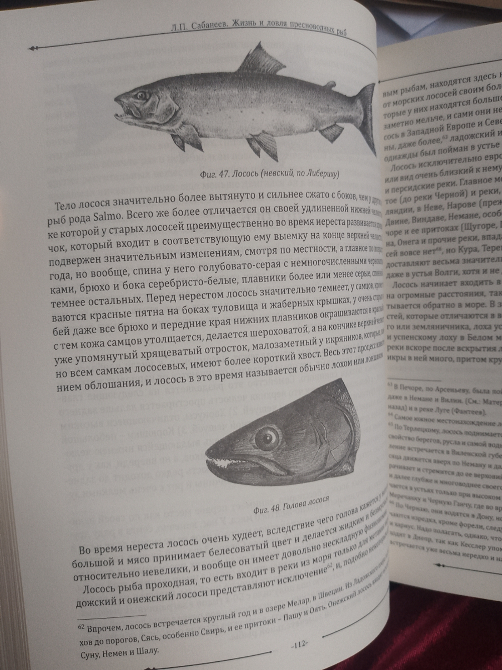 Набор "Рыбалка" подарочный в футляре: книга "Жизнь и ловля пресноводных рыб" с бокалами для коньяка