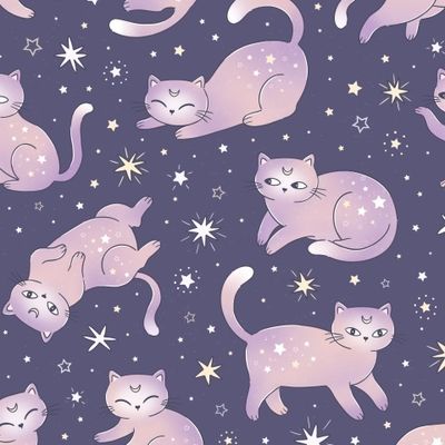 Космические котики