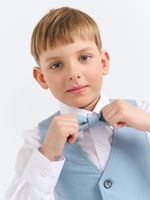 Галстук-бабочка "Дымка"