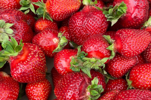 Доставка ягоды на любой вкус