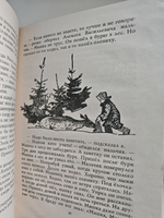 Комендант черного озера