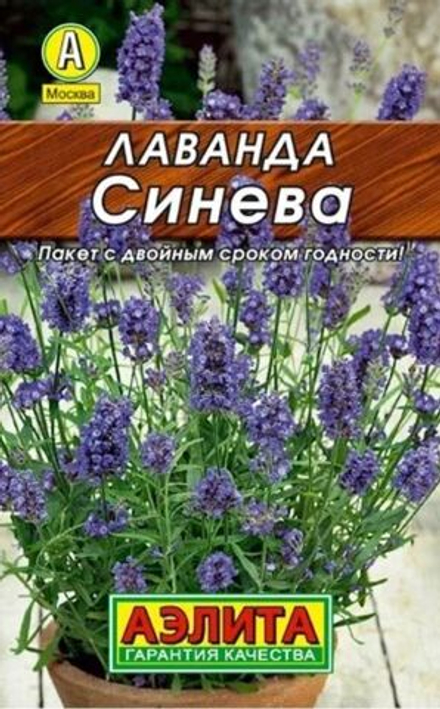 Лаванда Синева