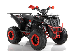 Квадроцикл WELS ATV Thunder 200 Evo X