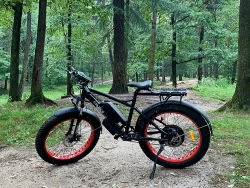 Электрофэтбайк Elbike Phantom Elite (Синий)