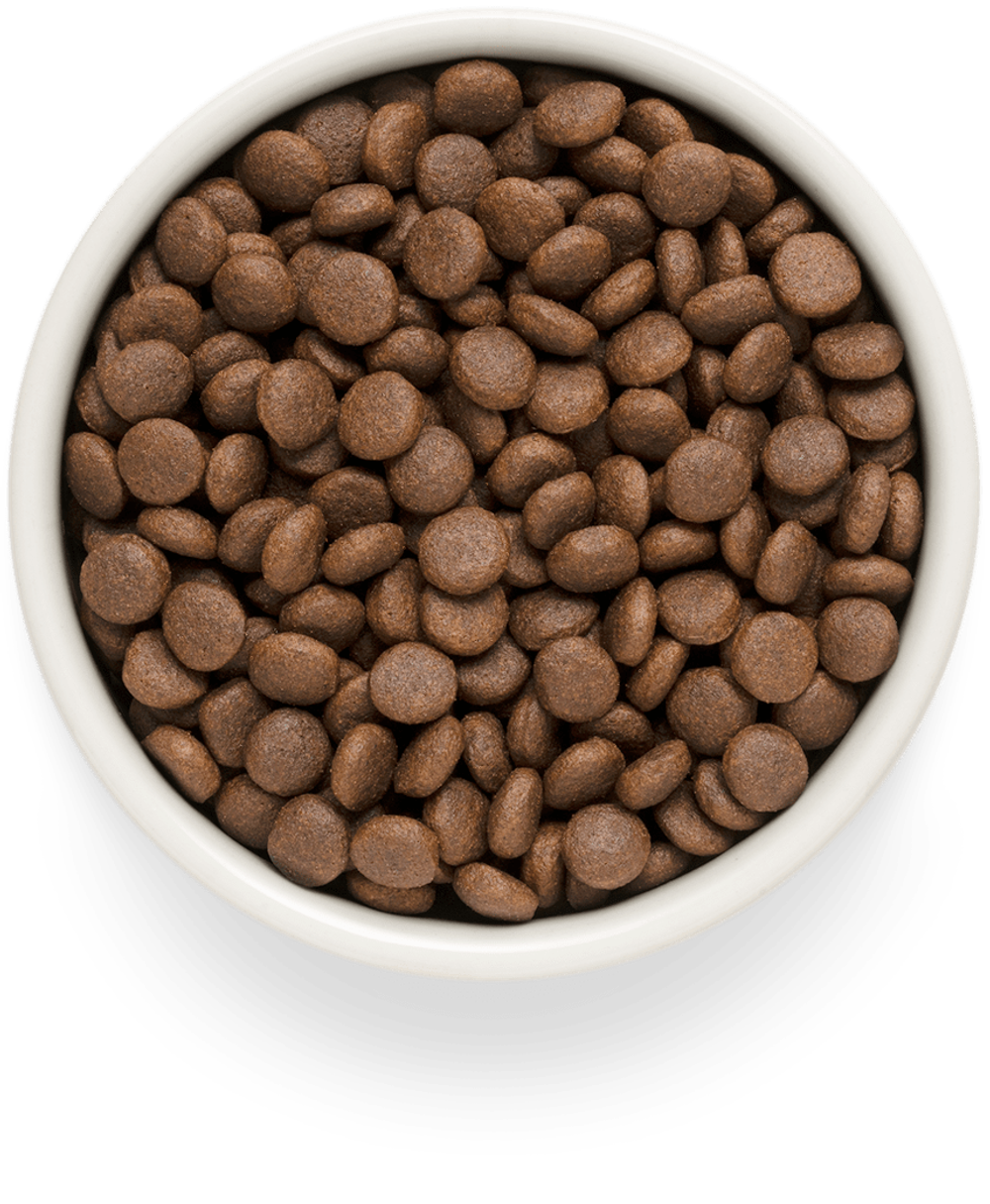 Grandorf fresh junior dog potato корм сухой беззерновой для юниоров ягнёнок,батат