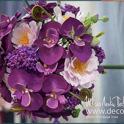 Каттер для центра орхидеи Фаленопсис