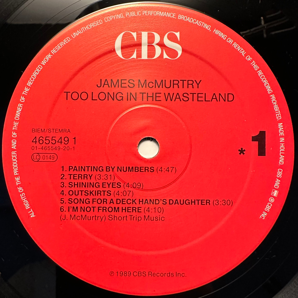 James McMurtry- Too Long In The Wasteland (Голландия 1989г.)