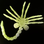 Лицехват из к/ф Чужой (FaceHugger), 3D печать, светящийся зеленым