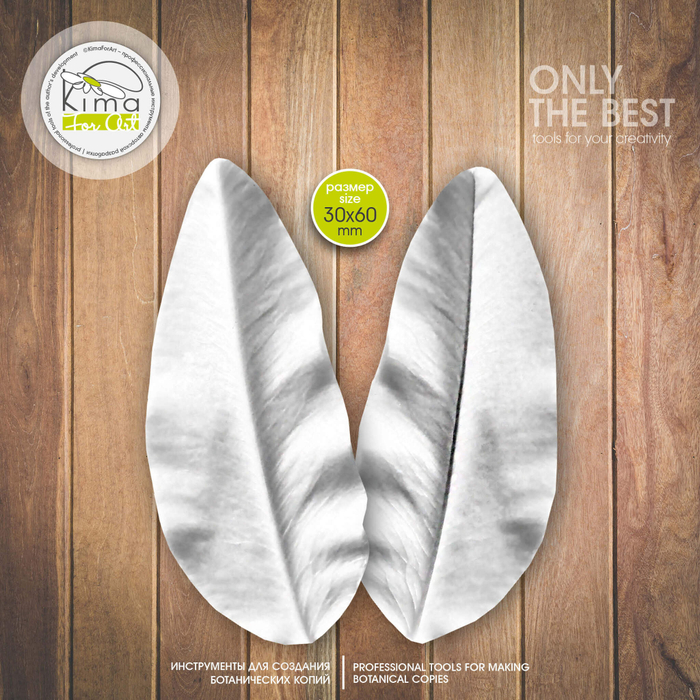 Клевер лист средний