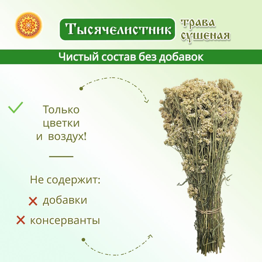 Тысячелистник пучок.