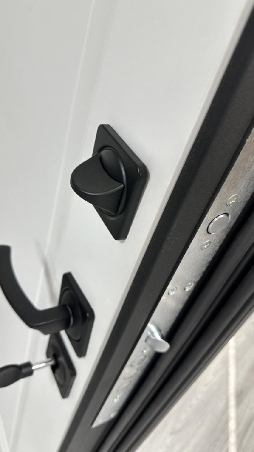 Дверь входная Альфа деканто 1