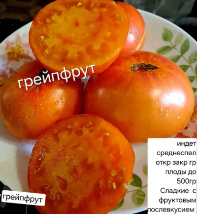 ГРЕЙПФРУТ