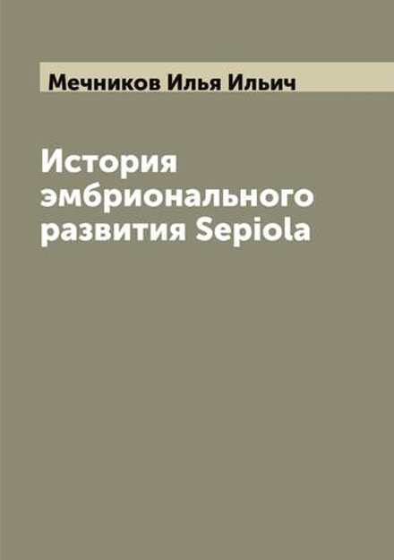 История эмбрионального развития Sepiola | Мечников Илья Ильич