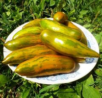 Помидоры - Green  Sausage - Зеленая Сосиска