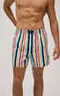 ALBUFEIRA 90323 Шорты купальные мужские