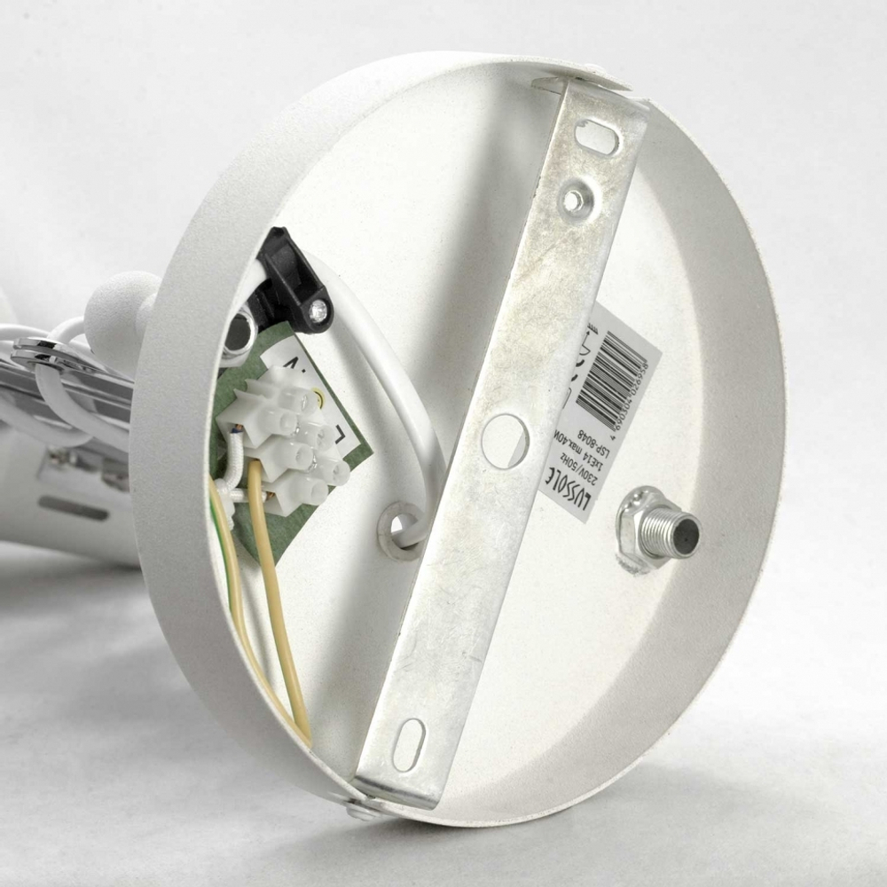 Настенный светильник Lussole Loft Koyukuk LSP-8048