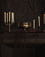 Коричневый флоггер Scandal из натуральной кожи - 78 см. (Цвет: коричневый)