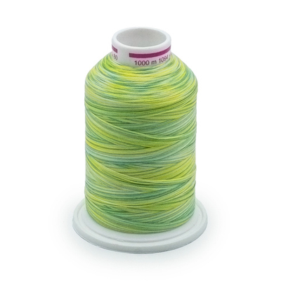 Нить текстурированная Gutermann Bulky-Lock 80 multicolor (1000 метров), 1 кат. | 9963