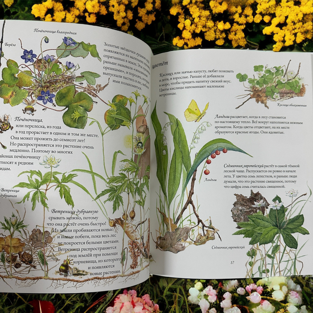 Цветочная книга шмеля