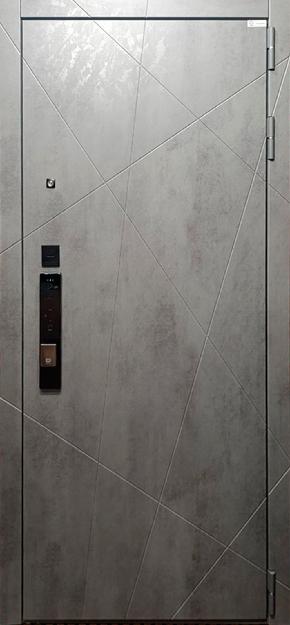 Стальная дверь "Дуэт Б" с зеркалом (биометрический замок К 06)