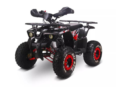 КВАДРОЦИКЛ GLADIATOR H125 LUX