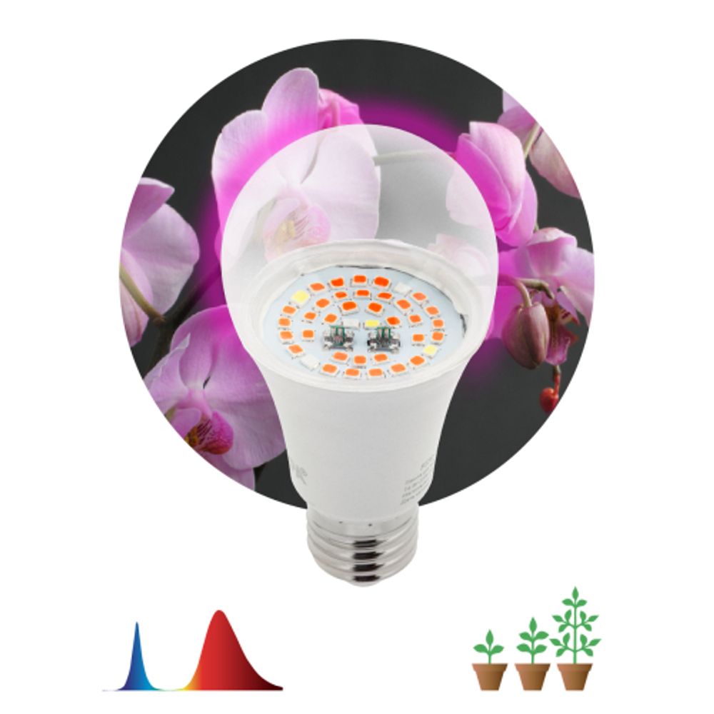 Фитолампа для растений светодиодная ЭРА FITO-14W-RB-E27 красно-синего спектра 14 Вт Е27 | Фитолампы Е27