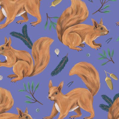 Белки на синем фоне