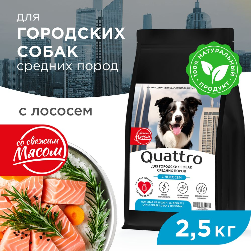 Корм сухой для взрослых собак средних пород, премиум полнорационный комплекс, для городских собак, с лососем, 2,5 кг, QUATTRO