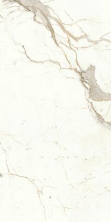 Atlas Concorde Marvel Shine Calacatta Prestigio Matt 60x120