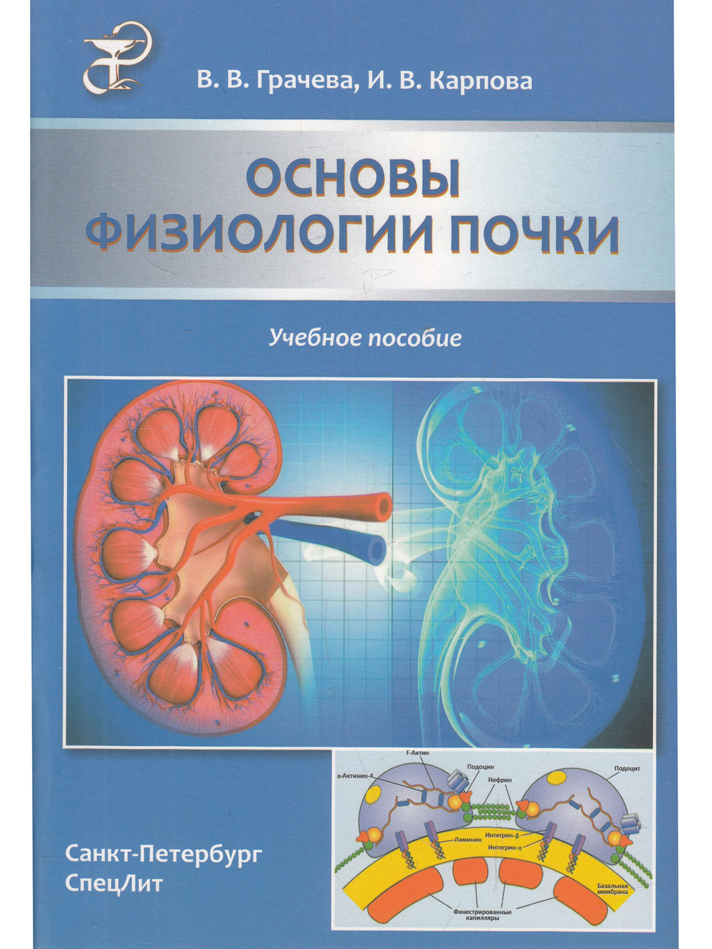 Основы физиологии почки