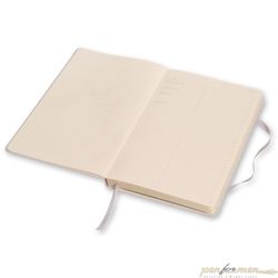 Блокнот Moleskine Professional Large (PROPFNTB3HG24)