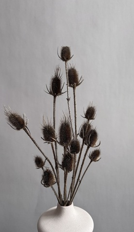 Ворсянка натуральная