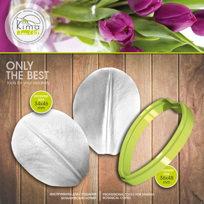 Тюльпан лепесток маленький круглый