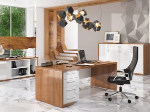 Кабинет руководителя Asti (Ed)