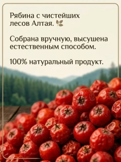 Рябина красная