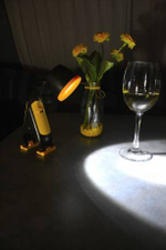 Фонарь-светильник Bresser National Geographic, светодиодный