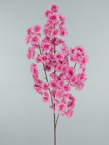 Сакура Пышная