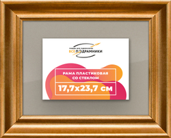Рамка 17,7x23,7 для постера и фотографий