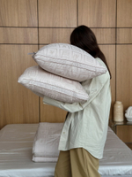 Подушка ETRO Base Beige 50x70