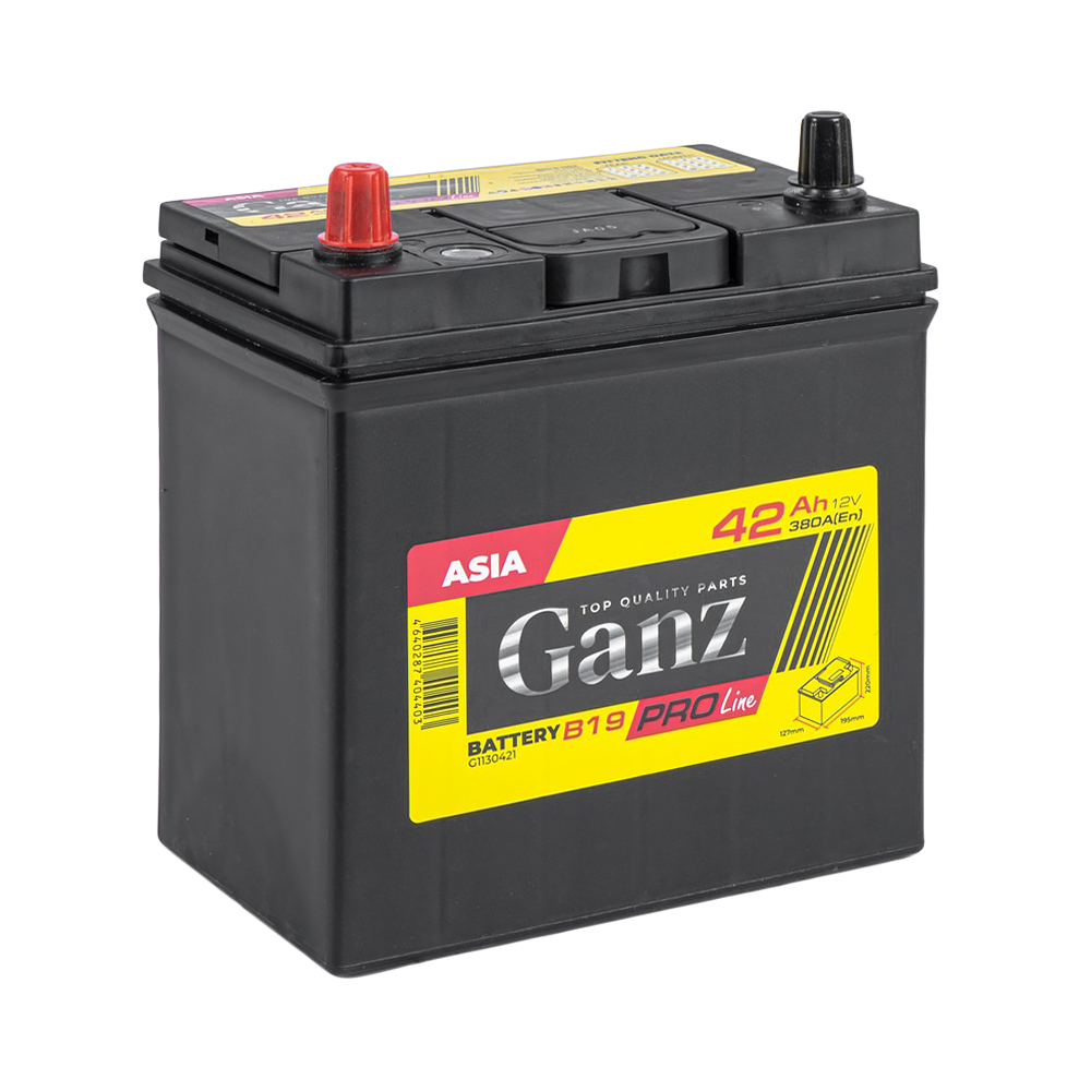 Аккумулятор GANZ PRO-Line JIS 42 А/ч прямой L+ 195x127x220 B19 EN 380 А