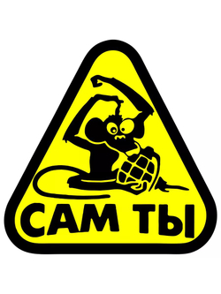 Наклейка на авто надпись с котом