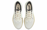 Кроссовки Nike Zoom Winflo 9