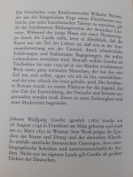 Wilhelm Meisters Lehrjahre. Иоганн Вольфганг Гете