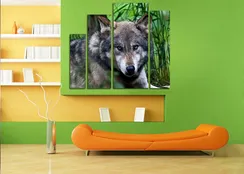 Модульная картина "Спокойный волк"