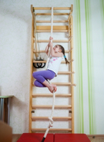 Спортивный пристенный комплекс Грейс