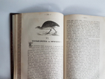 "Полное собрание сочинений Сергея Тимофеевича Аксакова в 6-ти томах". Аксаков, Иван Сергеевич (1823-1886). 1886г. - редкая книга