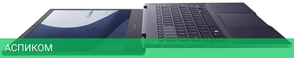 Ноутбук Asus ExpertBook B5 B5302CBA-EG0174X