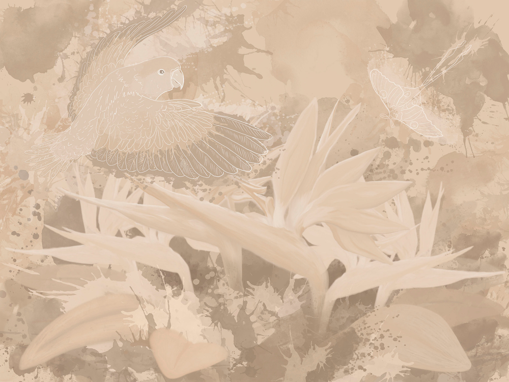 Коллекция BIRDLY