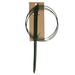 GAFS-3-14 GREEN APPLE поддержка кольцо для растений 3 шт d14/h28 | GREEN APPLE