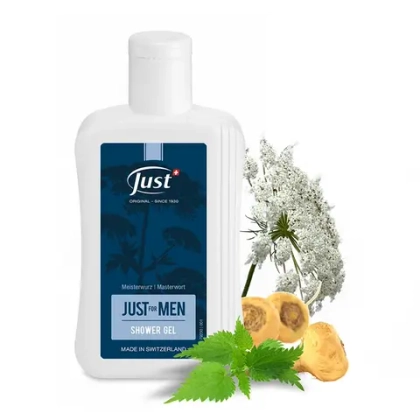 Гель для душа Just Men Shower Gel 250 мл